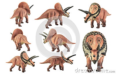 Torosaurus , dinosaur on white background Stock Photo