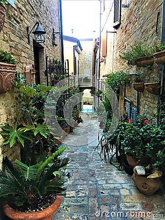 Torre di Palme town in Marche region, Italy. Nature, secret and street to Paradise Stock Photo