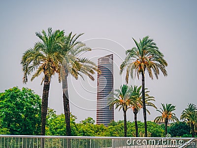 Torre Pelli tower in Seville Spain Stock Photo