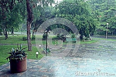 Morning of heavy rain on a street in Olimp. Stock Photo