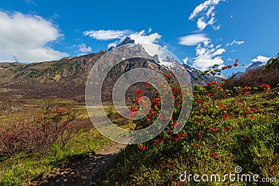 Torres del Paine is a national park in Chile that was declared a UNESCO Stock Photo