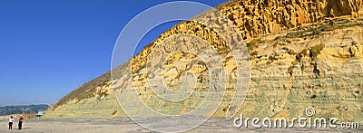 Torrey Pines Stock Photo