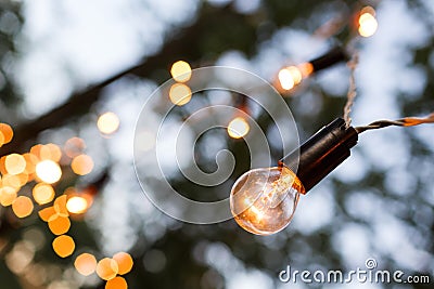 Torse of filament lamp in evening park Stock Photo