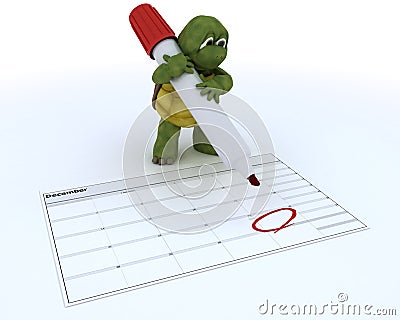 Tortoise with a calendar Stock Photo
