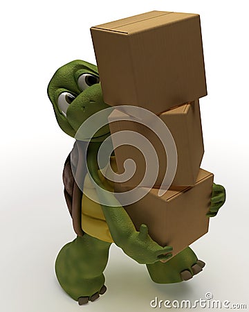 Tortoise Caricature Carrying Packing Carton Stock Photo