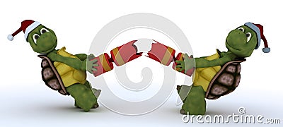 Tortoise pulling christmas cracker Stock Photo