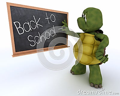 Tortoise with school chalk board back to school Stock Photo