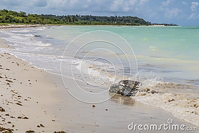 Tortoise stranded at the beach at Ponta Preta in the island of Capo verde in Brazil Stock Photo