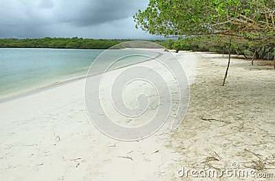 Tortuga Bay, Santa Cruz, Galapagos Stock Photo