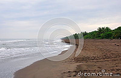Tortuguero beach, Costa Rica Stock Photo