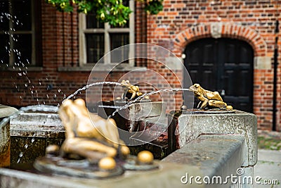 Torun, Poland - August 11, 2021. Bronze sculpture of frogs by the fountain Rafter Monument Pomnik Flisaka in old town Editorial Stock Photo