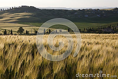 Toscana Stock Photo