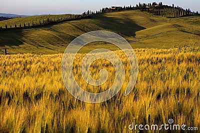 Toscana Stock Photo