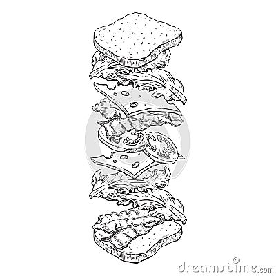 tossed sandwich. Vector illustration decorative design Vector Illustration