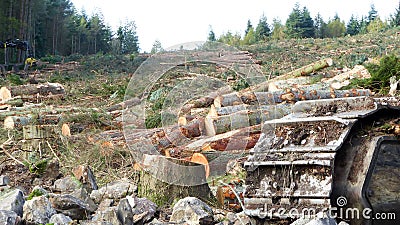 Total destruction of environment with machinery concept Stock Photo