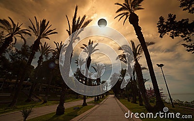 Total solar eclipse, palm avenue in resort city Stock Photo