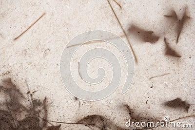 Totally abstract grunge blur, background of a tent canvas, tree texture, gray, brown, beige, speckled dirt leaves branches needles Stock Photo