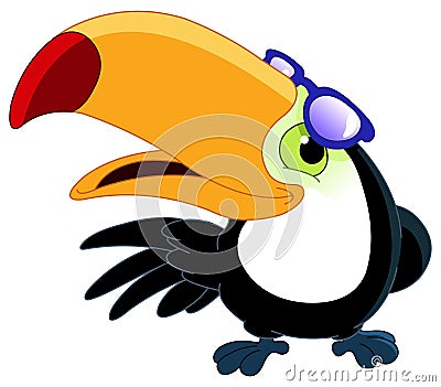 Toucan Vector Illustration