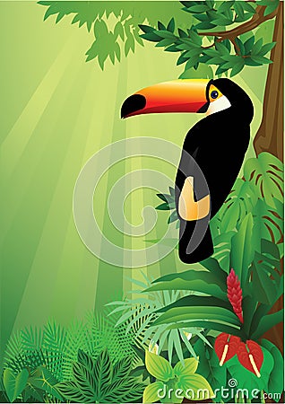 Toucan Vector Illustration