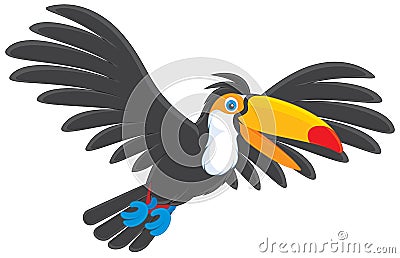 Toucan Vector Illustration