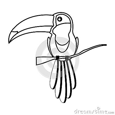 Toucan bird animal Vector Illustration