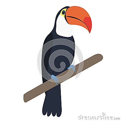 toucan bird flat design, isolated on white background Vector Illustration