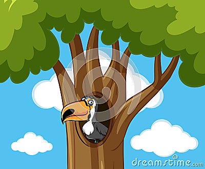 Toucan bird in hallow tree Vector Illustration