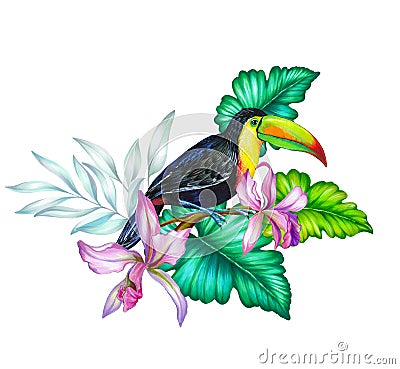 Toucan bird layout. Stock Photo