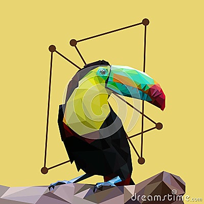 Toucan bird lowpoly style Stock Photo