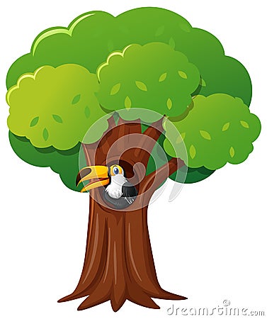 Toucan bird in the tree Vector Illustration