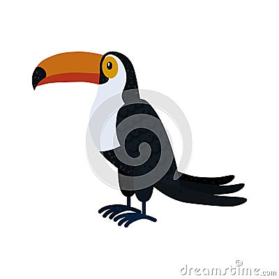 The toucan bird. Tropical bird is a family of birds, the order woodpeckers. Vector Illustration