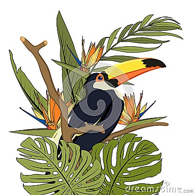 Toucan black bird with yellow beak in natural tropic habitat on tree branch. Exotic tropical forest greenery. Vector Illustration