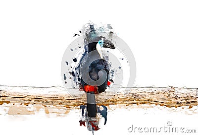 Toucan on the branch, abstract animal concept Stock Photo