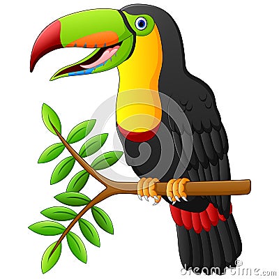 Toucan cartoon sitting on the branch Vector Illustration