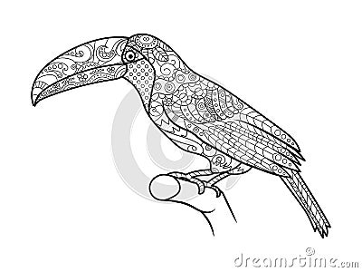 Toucan Coloring Book For Adults Vector Stock Vector