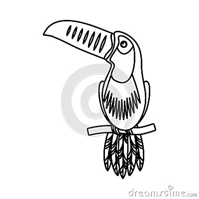 Toucan exotic bird icon Vector Illustration