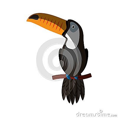 Toucan exotic bird icon Vector Illustration