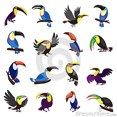 Toucan icons set, cartoon style Vector Illustration