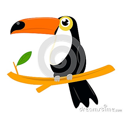 Toucan Vector Illustration