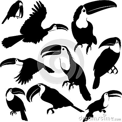 Toucan silhouette illustration set Vector Illustration