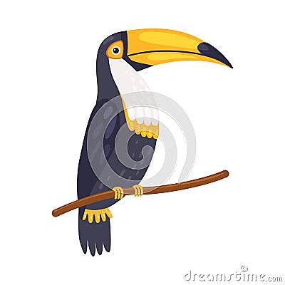 Toucan Tropical Parrot, Beautiful Bird with Blackk and White Plumage Vector Illustration Vector Illustration