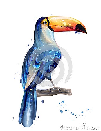 Toucan Vector watercolor. summer card with parrots designs Vector Illustration