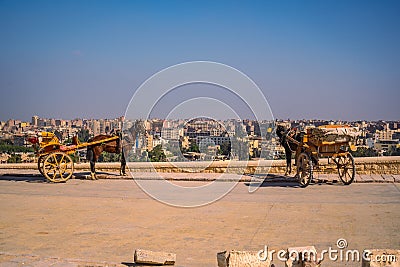 Tour horses on a pavement overlooking a city Egypt against a clear blue sky Stock Photo