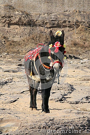 Tourism Stock Photo