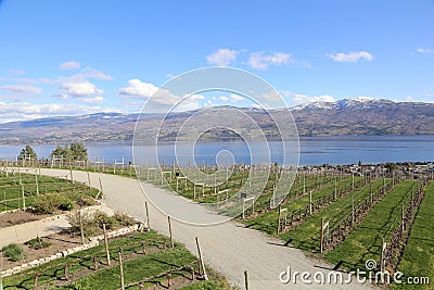 Tourism BC- Mission Hill Winery- Kelowna, BC- Westbank Editorial Stock Photo