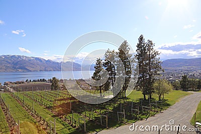 Tourism BC- Mission Hill Winery- Kelowna, BC- Westbank Editorial Stock Photo