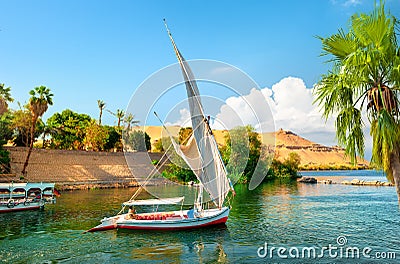 Tourism in Aswan Editorial Stock Photo