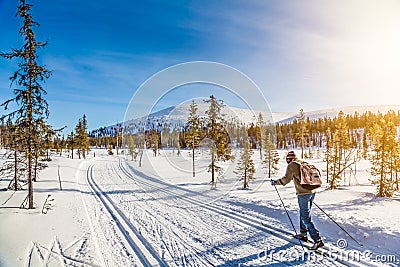 Tourist cross-country skiing in Scandinavia at sunset Editorial Stock Photo