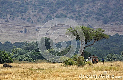 Tourist enjoying game drive on safari Jeep in Masai Mara National Reserve Editorial Stock Photo