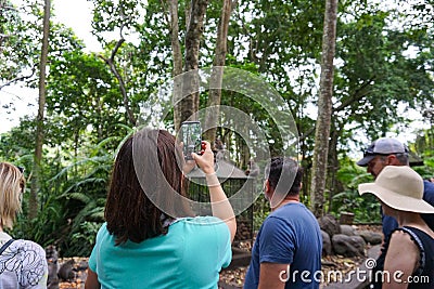 Tourist girl taking the photos of the monkeys in Ubud Monkey Forest, Bali Island, Indonesia Editorial Stock Photo